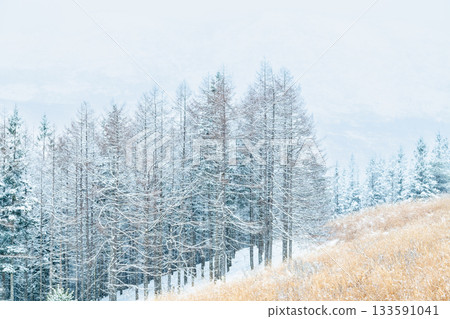 長野縣，隆冬時節的霧峰 133591041