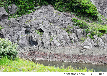 A rock that looks like a dachshund 133591064