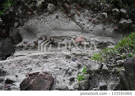 岩石海岸牆 133591068