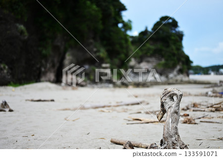 沙灘與岩石海岸 133591071