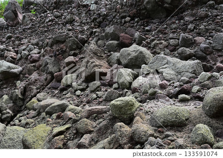 岩石海岸 133591074
