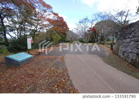 岡城：本丸（主城）後方的城堡巴士站和東中城牆遺址（大分縣竹田市） 133591790