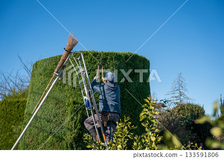 pruning, gents, male 133591806