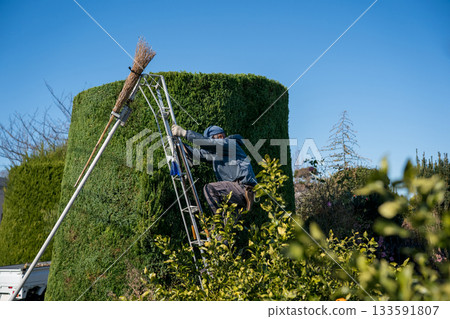 pruning, gents, male 133591807
