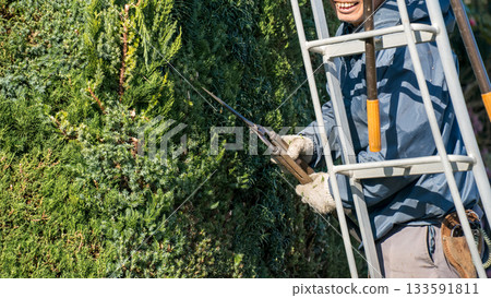 pruning, gents, male 133591811