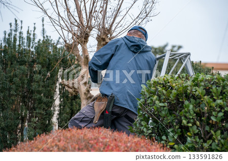 pruning, gents, male 133591826