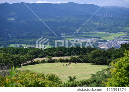 日本最大的臥舖樓梯，四周環繞著大自然的景色。 133591874
