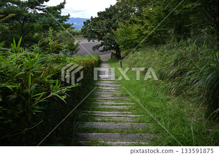 Wooden stairs in Kurino Plateau Wooden stairs in Kurino Plateau 133591875