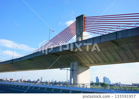 一座形似蜻蜓的紅色橋樑 133591957