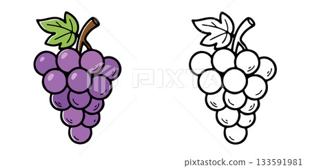 Simple grape icon illustration 133591981