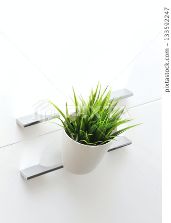 Decorative plant Decorative plant 133592247