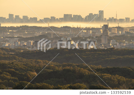 Kanagawa Prefecture: Cityscape in the morning mist 133592539