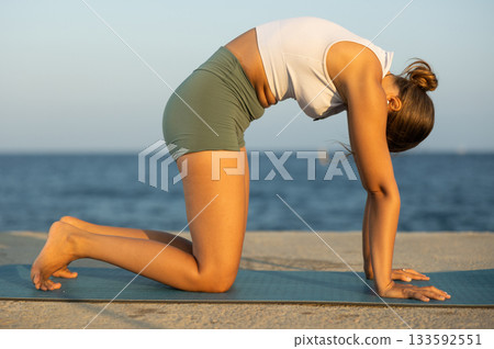 Yoga training on seashore - girl in dog pose on mats Yoga training on seashore - girl in dog pose on mats 133592551