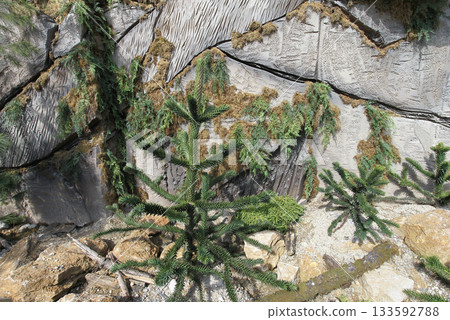 Stone cracks 133592788