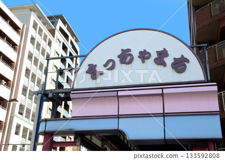 Matsuya Town Arcade 133592808