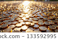 A large number of shiny coins 133592995