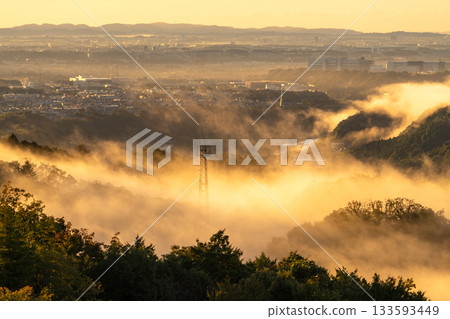 Kanagawa Prefecture: Cityscape in the morning mist Kanagawa Prefecture: Cityscape in the morning mist 133593449