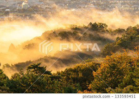神奈川縣：晨霧中的城市景觀 133593451