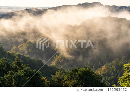 Kanagawa Prefecture: Cityscape in the morning mist Kanagawa Prefecture: Cityscape in the morning mist 133593452