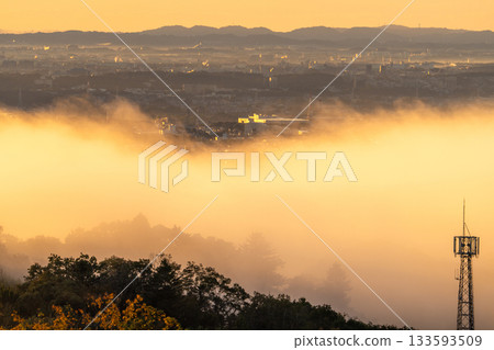 Kanagawa Prefecture: Cityscape in the morning mist 133593509