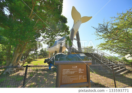 山口縣長門國串崎城遺址的石牆和圍牆 133593771