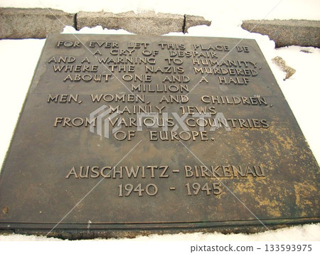 奧斯維辛集中營紀念碑 133593975