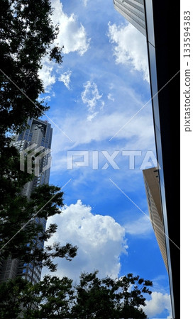 Sky view adorned with towering buildings, captured from below. The perspective showcases the majestic structures blending harmoniously with stunning clouds and a vibrant, clear sky. Sky view adorned with towering buildings, captured from below. The perspective showcases the majestic structures blending harmoniously with stunning clouds and a vibrant, clear sky. 133594383