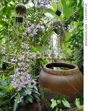 用鮮花的風景 用鮮花的風景 133594718