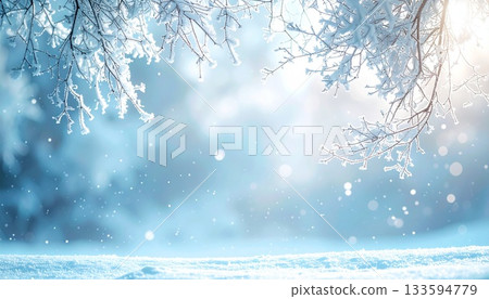 白雪皚皚的冬日森林，樹枝上掛滿霜花，背景是閃閃發光的積雪。 133594779