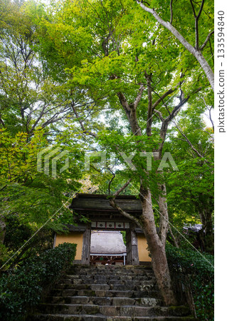 The gate to the approach to Jakkoin Temple in Ohara, Kyoto 133594840