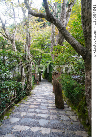 Scenery of the approach to Jakkoin Temple in Ohara, Kyoto Scenery of the approach to Jakkoin Temple in Ohara, Kyoto 133594841