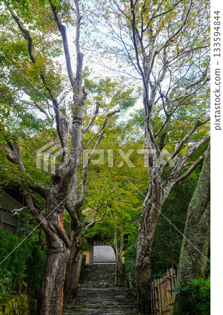 The gate to the approach to Jakkoin Temple in Ohara, Kyoto 133594844
