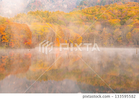 <長野縣> 黎明時的鏡池，秋色最盛時的戶隱 133595582