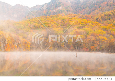 <長野縣> 黎明時的鏡池，秋色最盛時的戶隱 133595584
