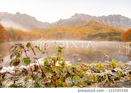 <長野縣> 黎明時的鏡池，秋色最盛時的戶隱 133595588