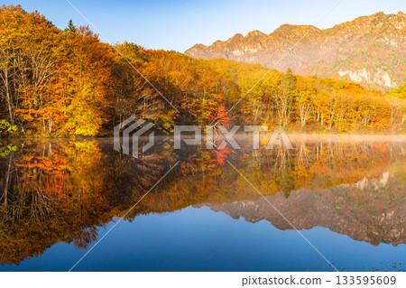 <Nagano Prefecture> Kagami Pond at dawn, Togakushi at the peak of autumn foliage 133595609