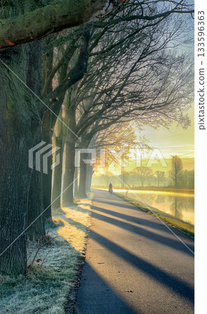 A beautifully tranquil winter morning unfolds along a charming treelined pathway A beautifully tranquil winter morning unfolds along a charming treelined pathway 133596363