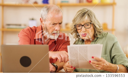 Elderly couple analyzing documents with laptop Elderly couple analyzing documents with laptop 133596553