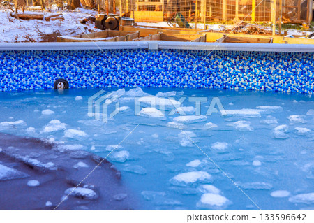 Frost ice create winter landscape chilly scene on swimming pool 133596642