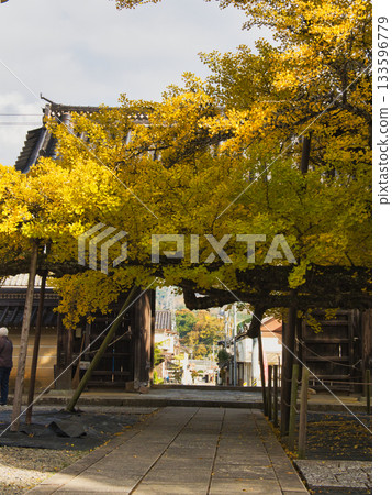Okayama Tanjoji Temple, large ginkgo tree 133596779