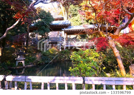 深大寺風景 深大寺風景 133596799