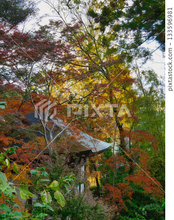 岡山丹升寺，秋葉 133596981
