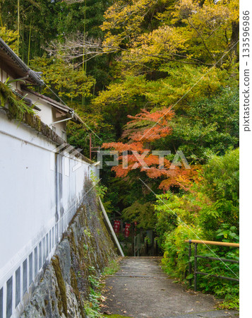 岡山丹升寺，秋葉 133596986