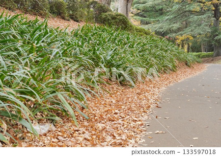 秋日自然風光與垃圾場 133597018