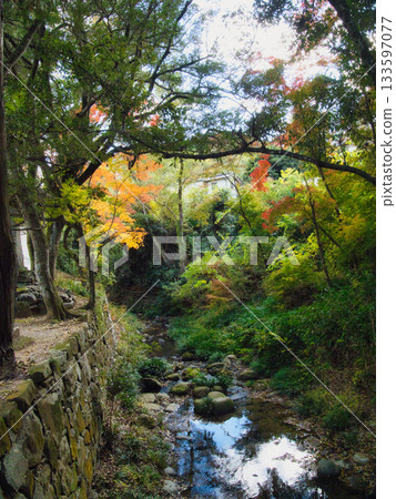 岡山丹升寺，秋葉 133597077