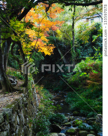 岡山丹升寺，秋葉 133597078