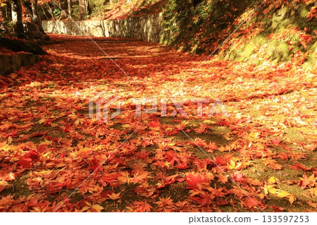 A paved approach to the shrine 133597253