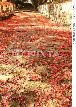 Red approach 133597256