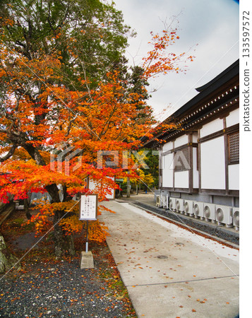 岡山丹升寺,秋葉 岡山丹升寺,秋葉 133597572