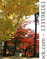 銀杏和秋葉 133598161